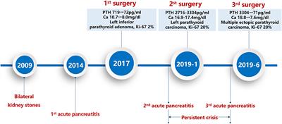 Persistent Hypercalcemia Crisis and Recurrent Acute Pancreatitis Due to Multiple Ectopic Parathyroid Carcinomas: Case Report and Literature Review of Mediastinal Parathyroid Carcinoma